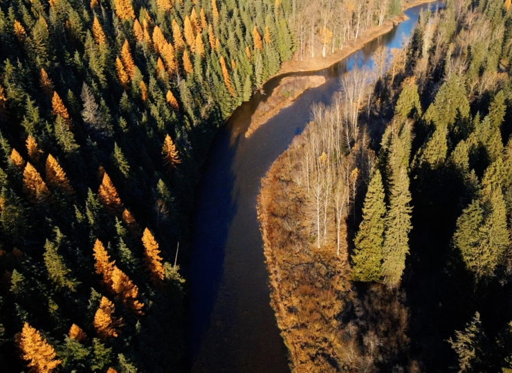 McPherson Meadows 3