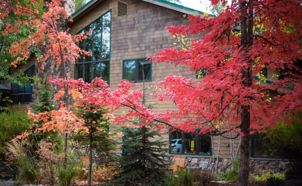 Camp Lutherhaven 11